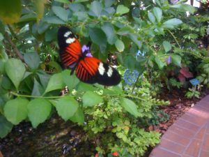 Botanical Gardens
