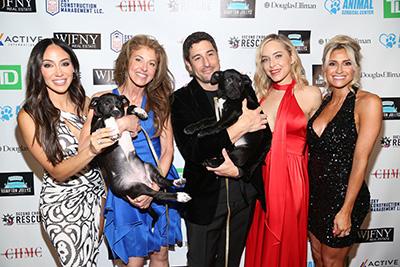 The Rescue Ball
