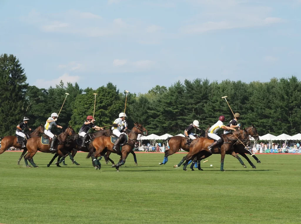 Experience luxury and tradition at Greenwich Polo Club's 2024 summer season, featuring thrilling matches, world-class players, and elegant events in Connecticut's scenic backcountry.