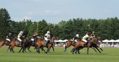 Experience luxury and tradition at Greenwich Polo Club's 2024 summer season, featuring thrilling matches, world-class players, and elegant events in Connecticut's scenic backcountry.