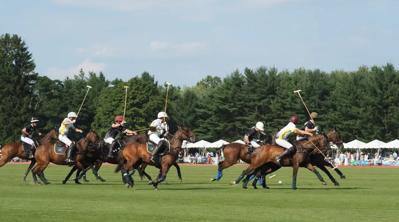 Experience luxury and tradition at Greenwich Polo Club's 2024 summer season, featuring thrilling matches, world-class players, and elegant events in Connecticut's scenic backcountry.