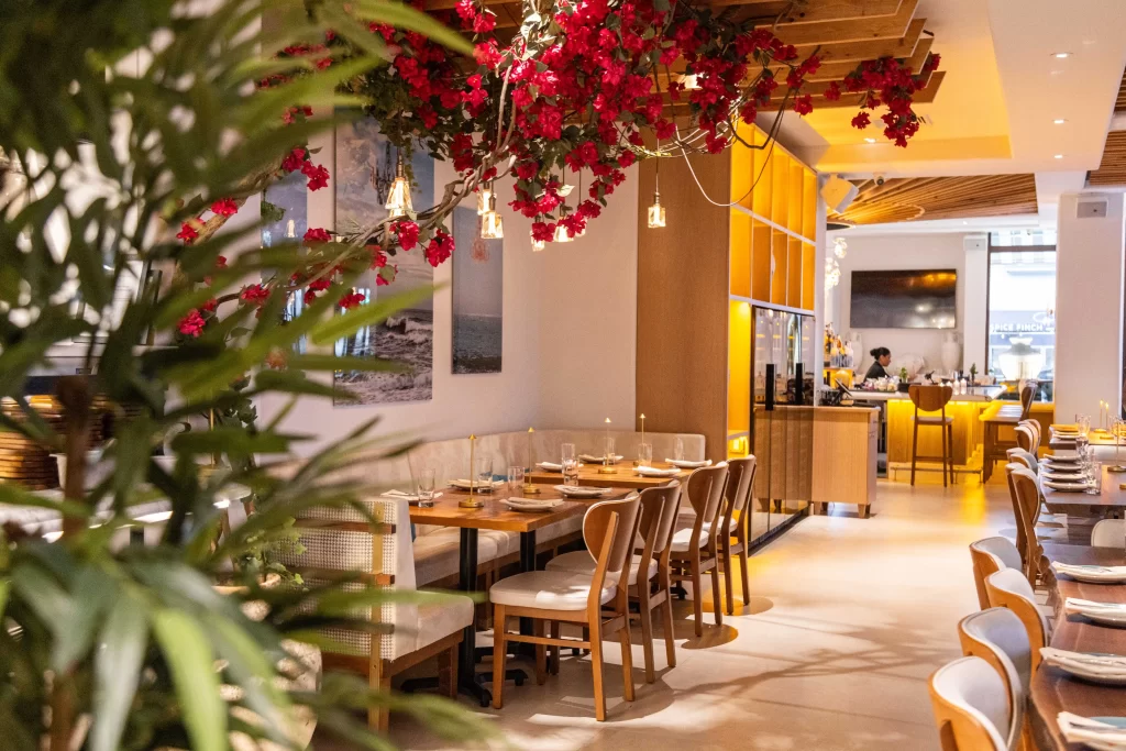 Savor the Best Dishes