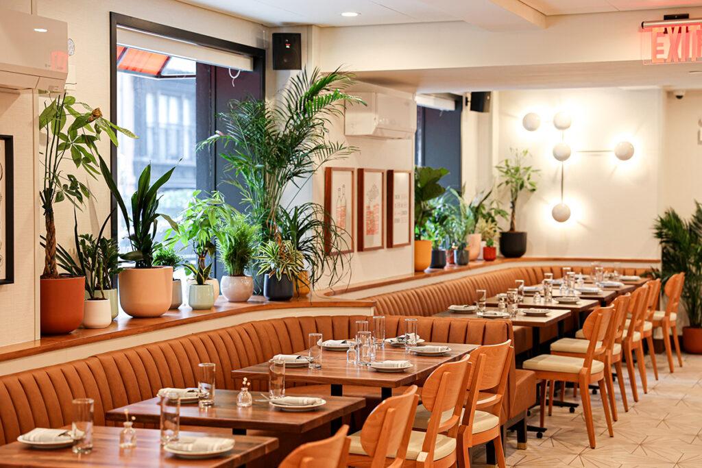 Discover Take Care in Murray Hill, a fresh, health-focused bistro by IGC Hospitality, serving seasonal American fare, curated cocktails, and all-day dining in a casual setting.