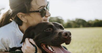 How Pets Inspire Active Lifestyles and Mental Wellness