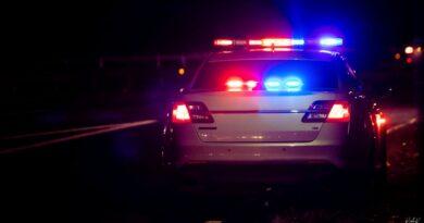 Police Cars for sale