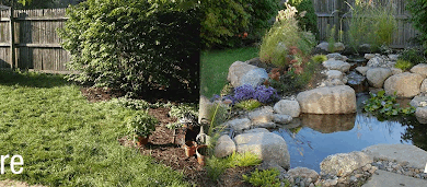 How to Build an Ecosystem Pond