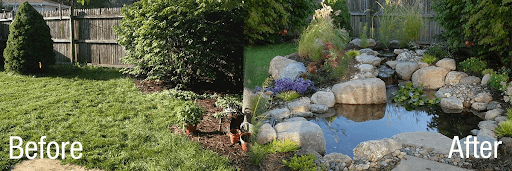 How to Build an Ecosystem Pond