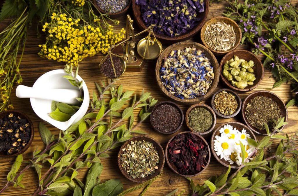 Best herbs for improving memory and focus