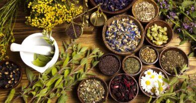 Best herbs for improving memory and focus