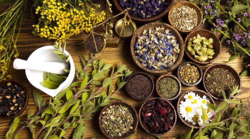 Best herbs for improving memory and focus