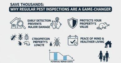 Save Thousands- Why Regular Pest Inspections Are a Game-Changer