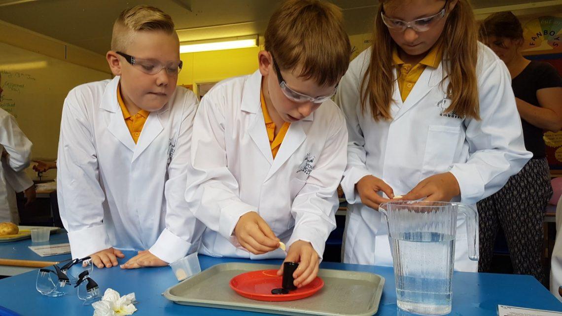 Safety and Preparedness in the Science Classroom