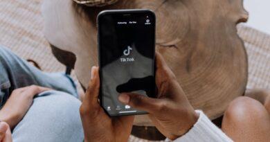 tiktok story viewer