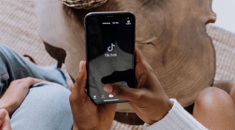 tiktok story viewer