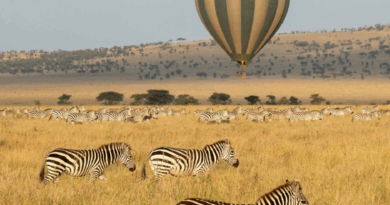 First-Time Tanzania Travel Guide: Luxury Visas, Safaris & Culture (2026)