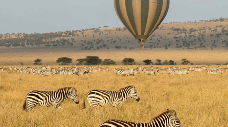 First-Time Tanzania Travel Guide: Luxury Visas, Safaris & Culture (2026)