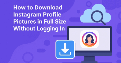 How to Download Instagram Profile Pictures in Full Size Without Logging In