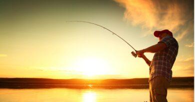 Why Is Fly Fishing in Tennessee a Must-Experience Adventure for Every Angler?