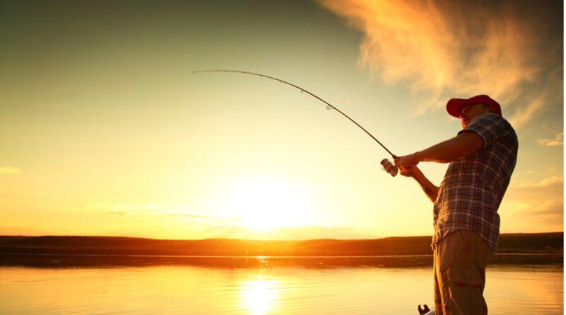 Why Is Fly Fishing in Tennessee a Must-Experience Adventure for Every Angler?