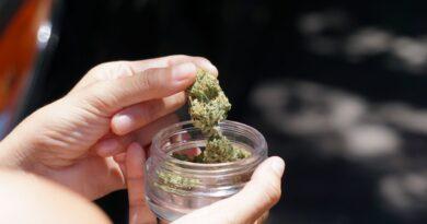 Medical Cannabis