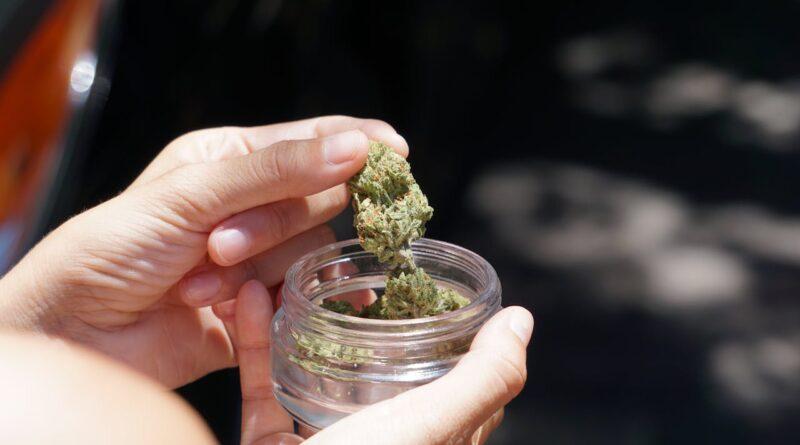 Medical Cannabis