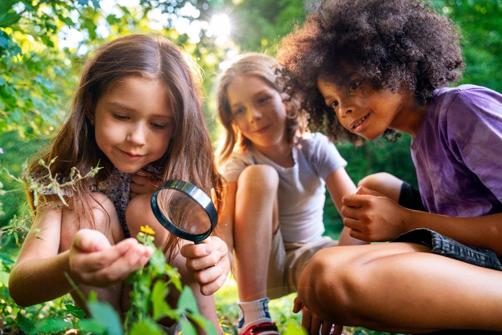Supporting Your Child's Learning Journey: From Preschool to High School ...