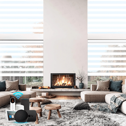 Modern Elegance with Zebra Shades