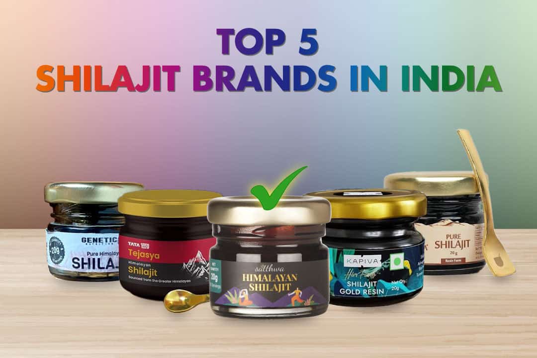 Best Shilajit Brands in India
