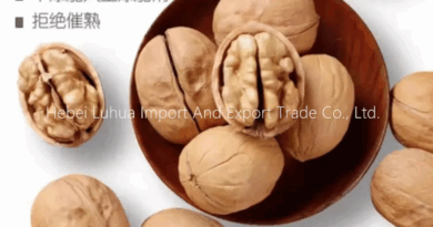 Whole Walnuts for Sale – Fresh, Grade-A, Farm-Direct Bulk