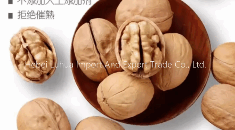 Whole Walnuts for Sale – Fresh, Grade-A, Farm-Direct Bulk