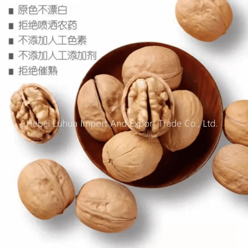Whole Walnuts for Sale – Fresh, Grade-A, Farm-Direct Bulk