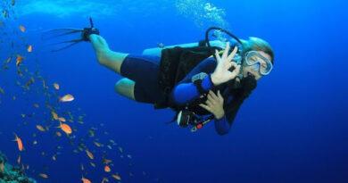 Maldives Liveaboard Diving: Exploring an Underwater Paradise