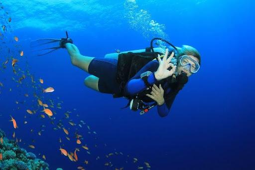 Maldives Liveaboard Diving: Exploring an Underwater Paradise