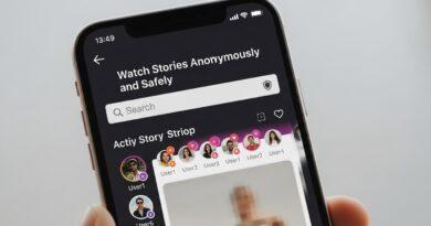 Instagram Story Viewer: Watch Stories Anonymously and Safely
