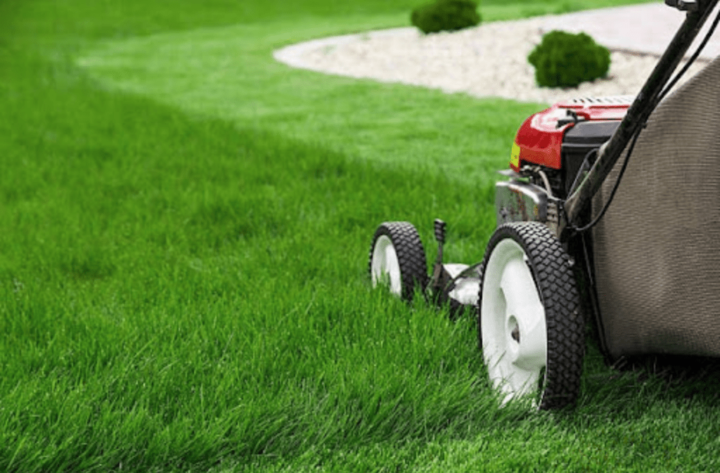 How LawnQ Became Western Sydney’s Go To Platform for Stress Free Lawn Mowing