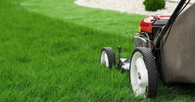 How LawnQ Became Western Sydney’s Go To Platform for Stress Free Lawn Mowing