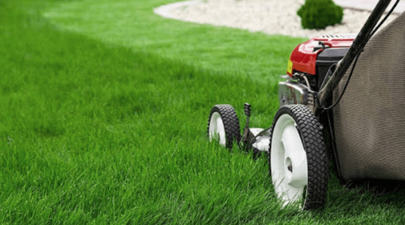 How LawnQ Became Western Sydney’s Go To Platform for Stress Free Lawn Mowing