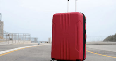 How to Choose the Perfect Suitcase for International Travel 