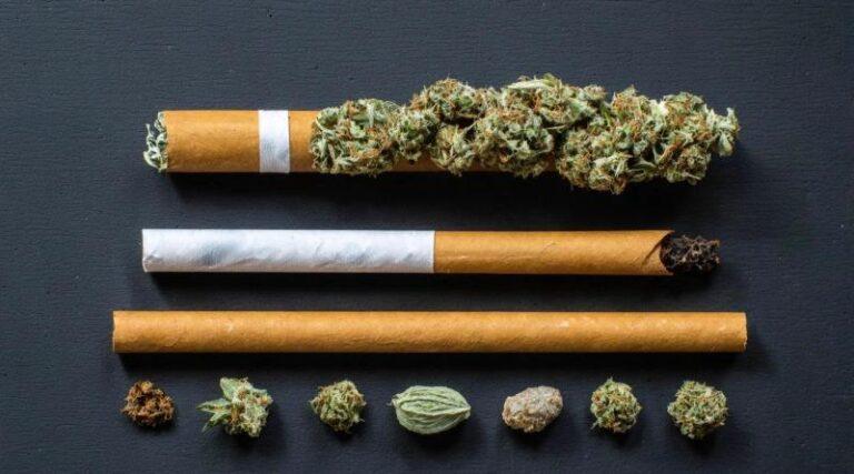 What is a Spliff? How It Differs from Joints and Blunts, and Why