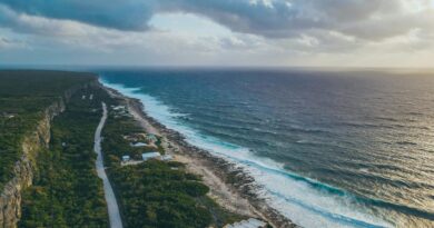 Do You Need a Car in Grand Cayman?