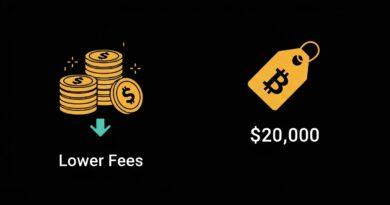 A Simple and Clear Explanation of Neobanks