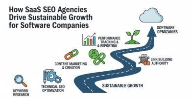 How SaaS SEO Agencies Drive Sustainable Growth for Software Companies