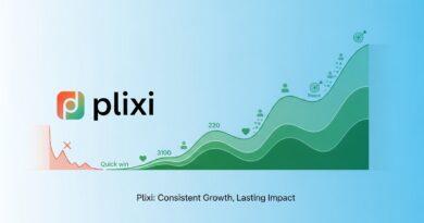 Plixi as a Tool for Long-Term Instagram Growth, Not Quick Wins