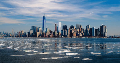 What Service of Process Means for New York Residents