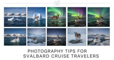 Photography Tips for Svalbard Cruise Travelers