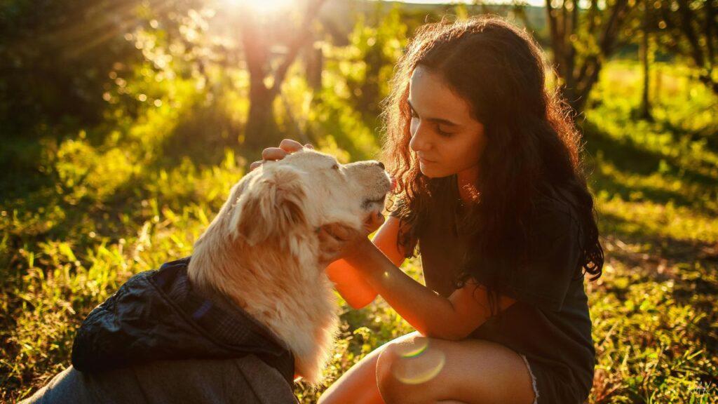 Can Probiotics Help Dogs with Allergies and Itchy Skin?