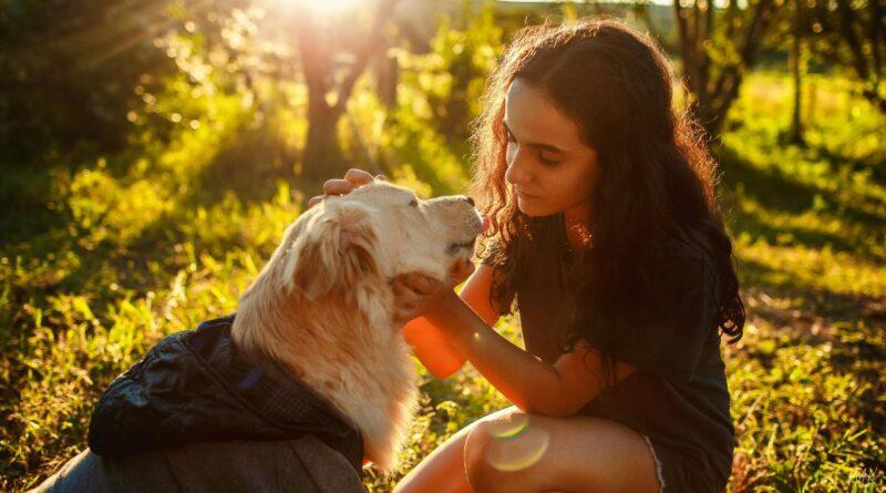 Can Probiotics Help Dogs with Allergies and Itchy Skin?