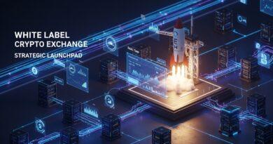 White Label Crypto Exchange Development: A Strategic Launchpad