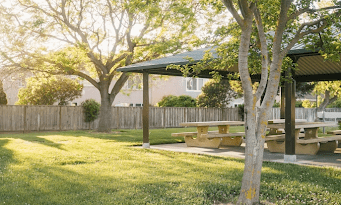 How to Create a Sustainable and Eco-Friendly Yard