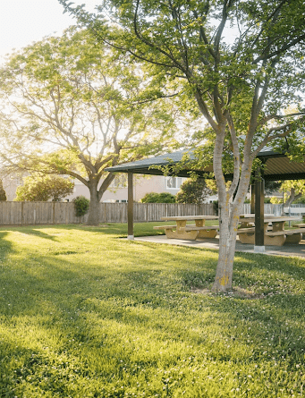 How to Create a Sustainable and Eco-Friendly Yard